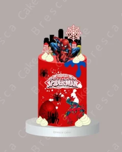 CAKE SPIDERMAN