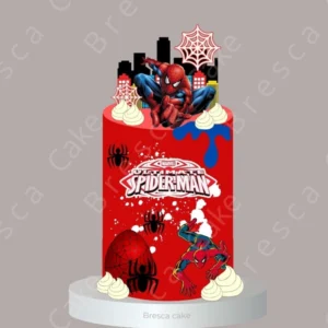 CAKE SPIDERMAN
