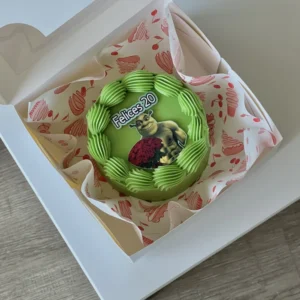 MINI CAKE VINTAGE SHREK